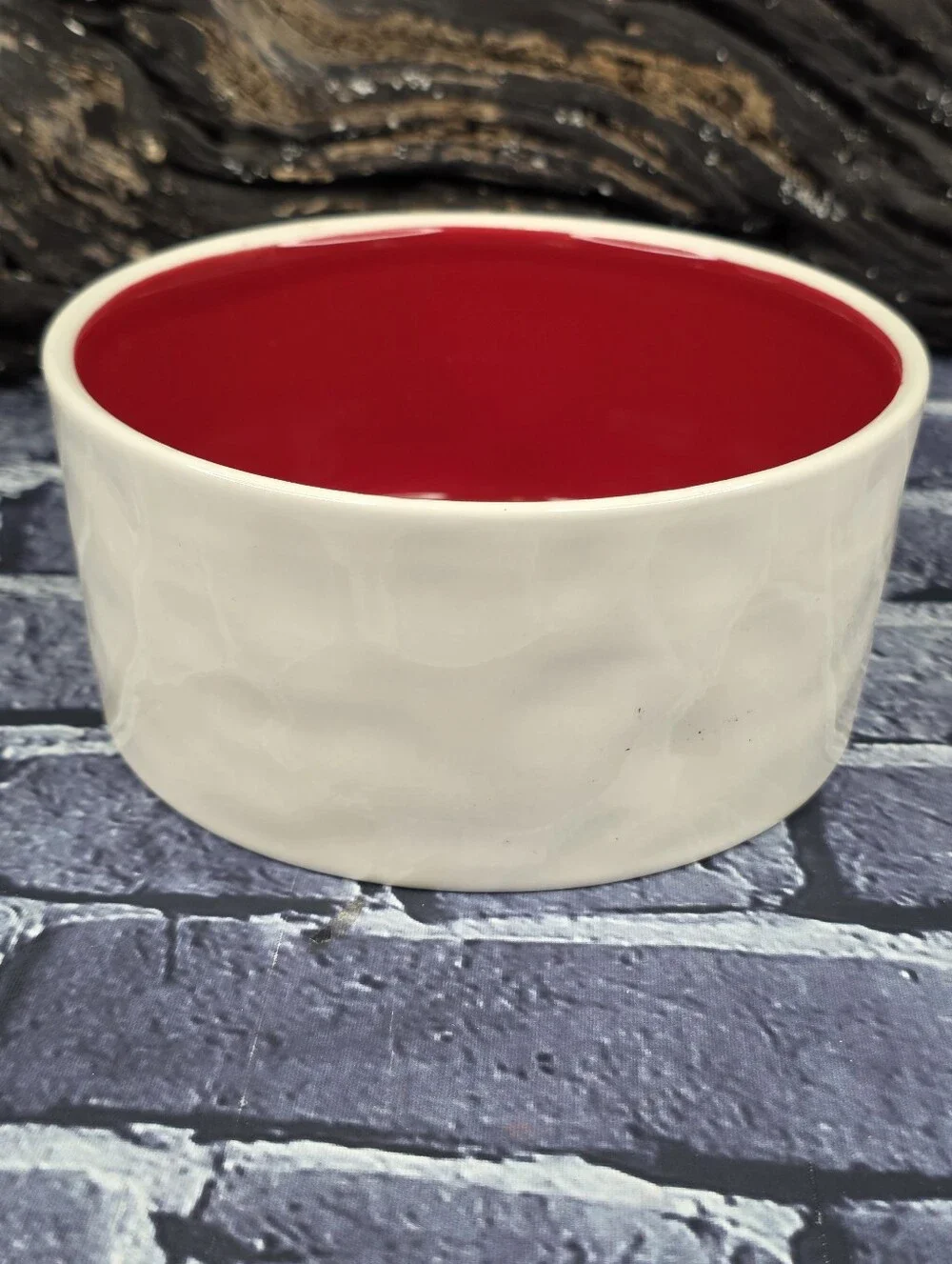 Rae Dunn DRINK UP Ceramic Pet Water Bowl – Red & White